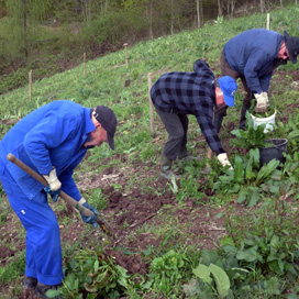 Tiefenbachgewässer